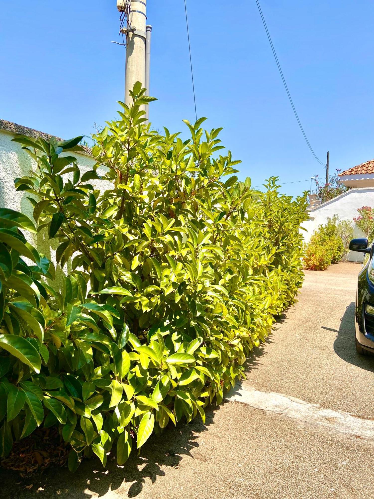 B&B Costa Azzurra Порто-Чезарео Экстерьер фото